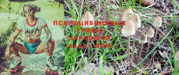 соль ск Беломорск