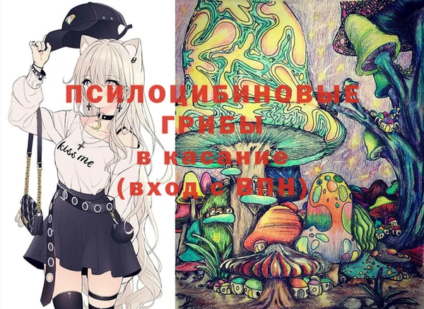соль ск Беломорск