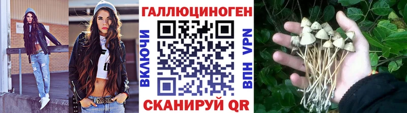 МЕГА как зайти Ленинградская Галлюциногенные грибы ЛСД